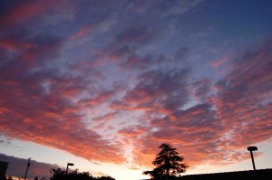 words can't describe.........