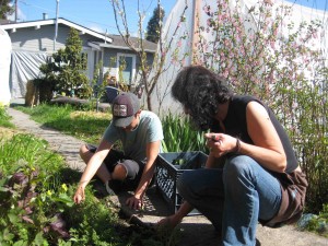 Staci and Mia pulling weeds