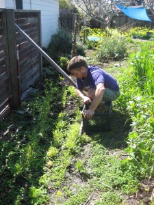 Jad doing an amazing job