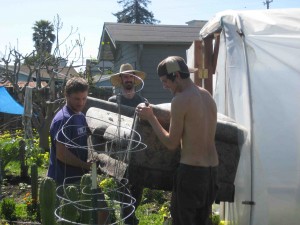 Finally getting rid of that nasty couch (filled with Salamanders!)