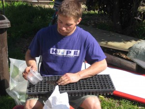 Jad preparing seed trays