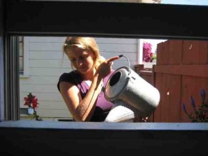 flowerbox Mason watering her window flower box